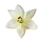 Eternity - Calvin Klein - Imagen 6