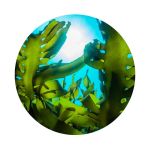 Guanabo - Renier Perfumes - Imagen 9