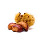 Decant Praline In Maple - Scents Of Wood - Imagen 7