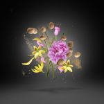 Opera - Xerjoff - Imagen 2