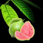 Perfume Mangomacumba - Spiritica - Imagen 8